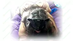 play Big Ass Traveler Gets Hard Facial!